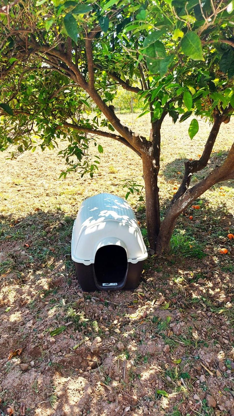 Agritourism Cottage Near Sitia Luaran gambar